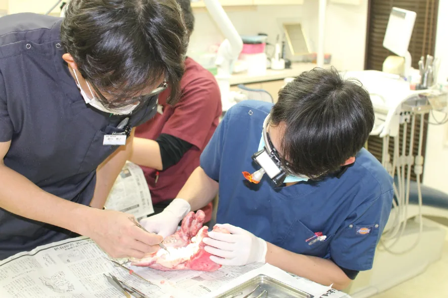 指導医のもとで診療を学ぶ研修医