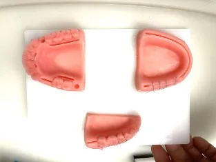 練習用模型