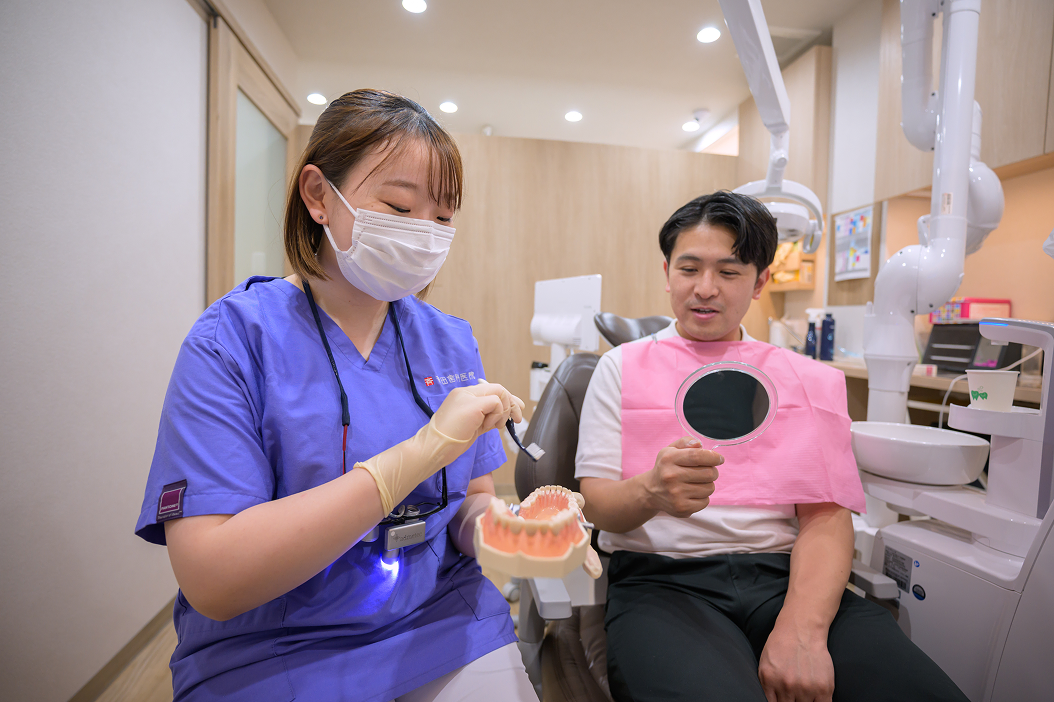 歯の模型を使って説明する歯科衛生士と患者さま