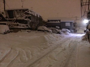 ２週連続の積雪