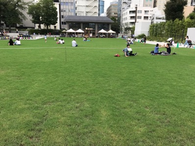 都会の公園