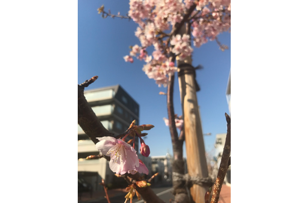 定期検診の間隔
