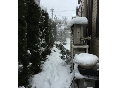 降雪