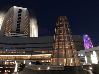 国際歯科大会