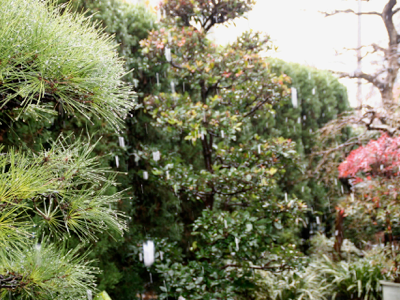 雪