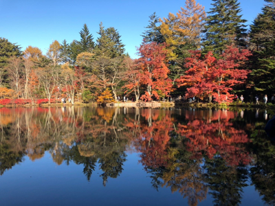 紅葉